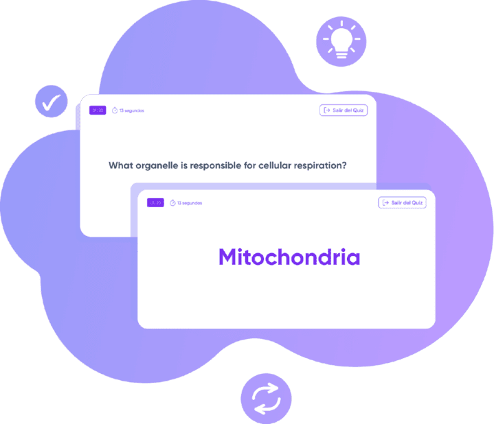 ParafraQuiz flashcards
