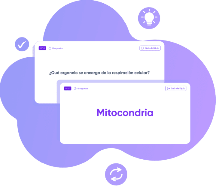 Flashcards de ParafraQuiz